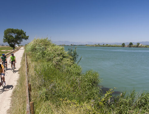 ACTIVITÉS DANS LE DELTA DE L’ÈBRE